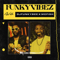 Funkyvibez, Pt.2