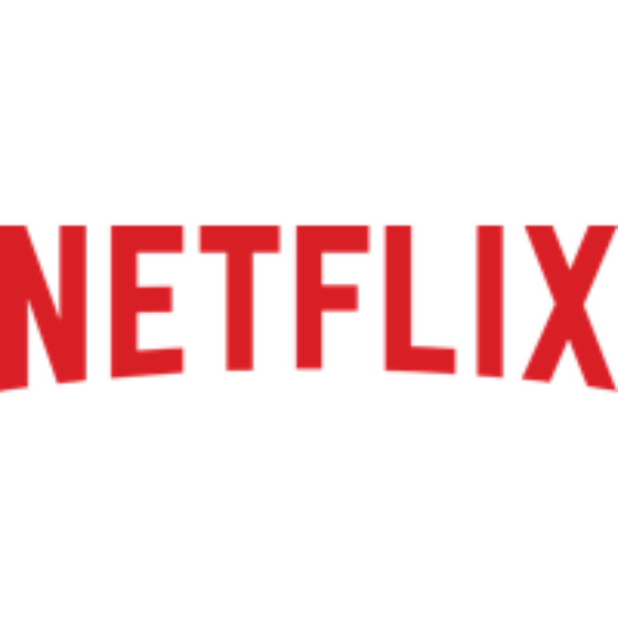 Films & TV Series Distribution 2 6.-Netflix